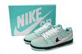Nike SB Dunk Low – Classic Streetwear Sneakers (EU 36–45)