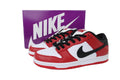 Nike SB Dunk Low – Classic Streetwear Sneakers (EU 36–45)