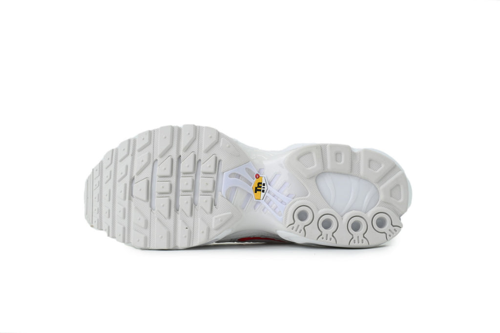 Nike Air Max Plus Sneakers | EU 39–47.5