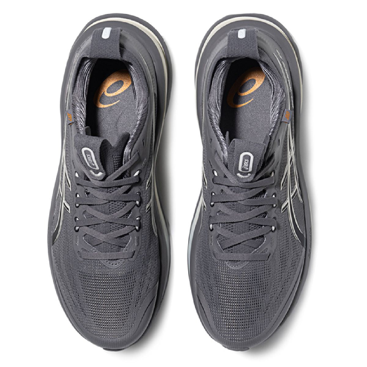 Asics Gel-Nimbus 28 Charcoal Gray / Silver / Beige