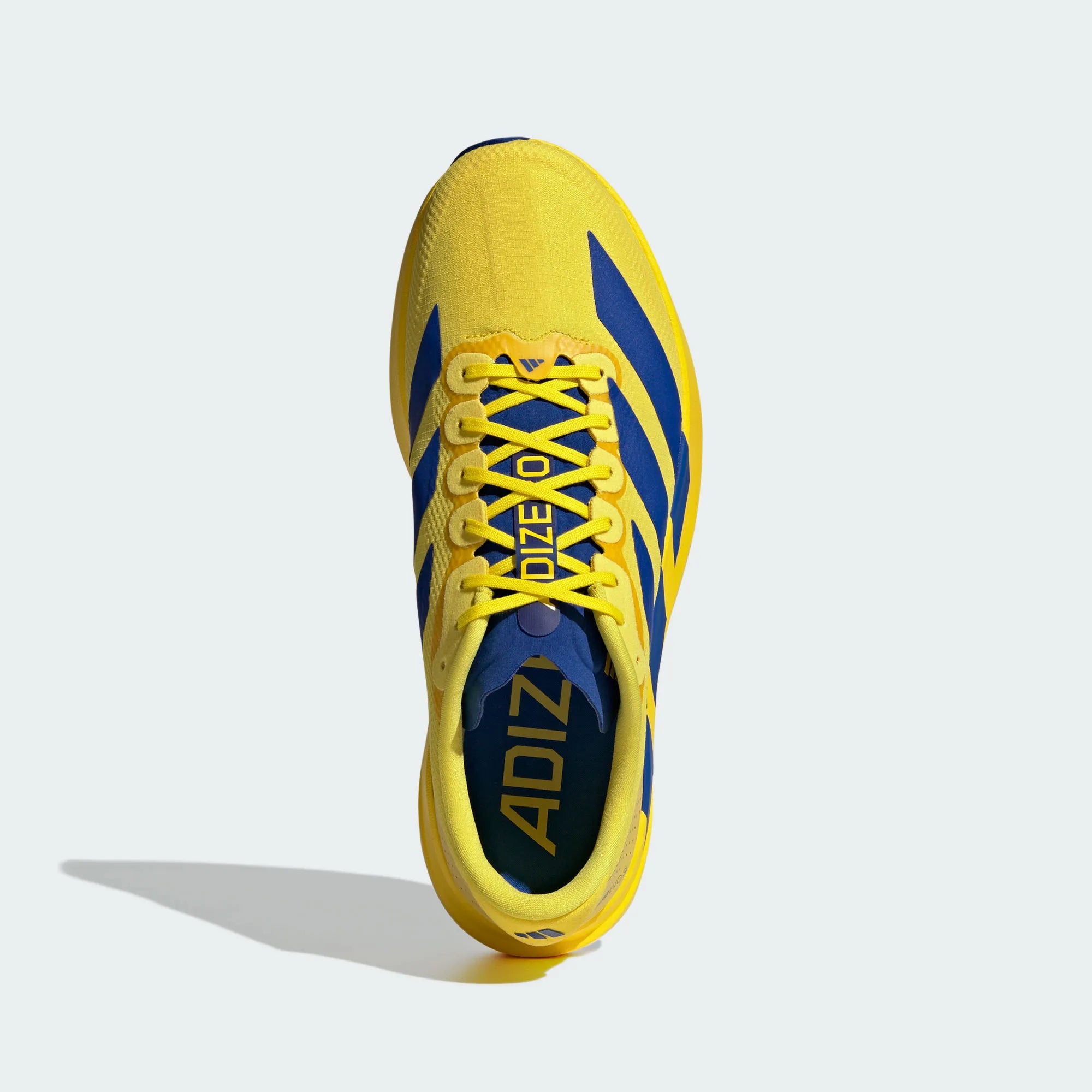 Adidas Adizero Evo SL Yellow / Royal Blue